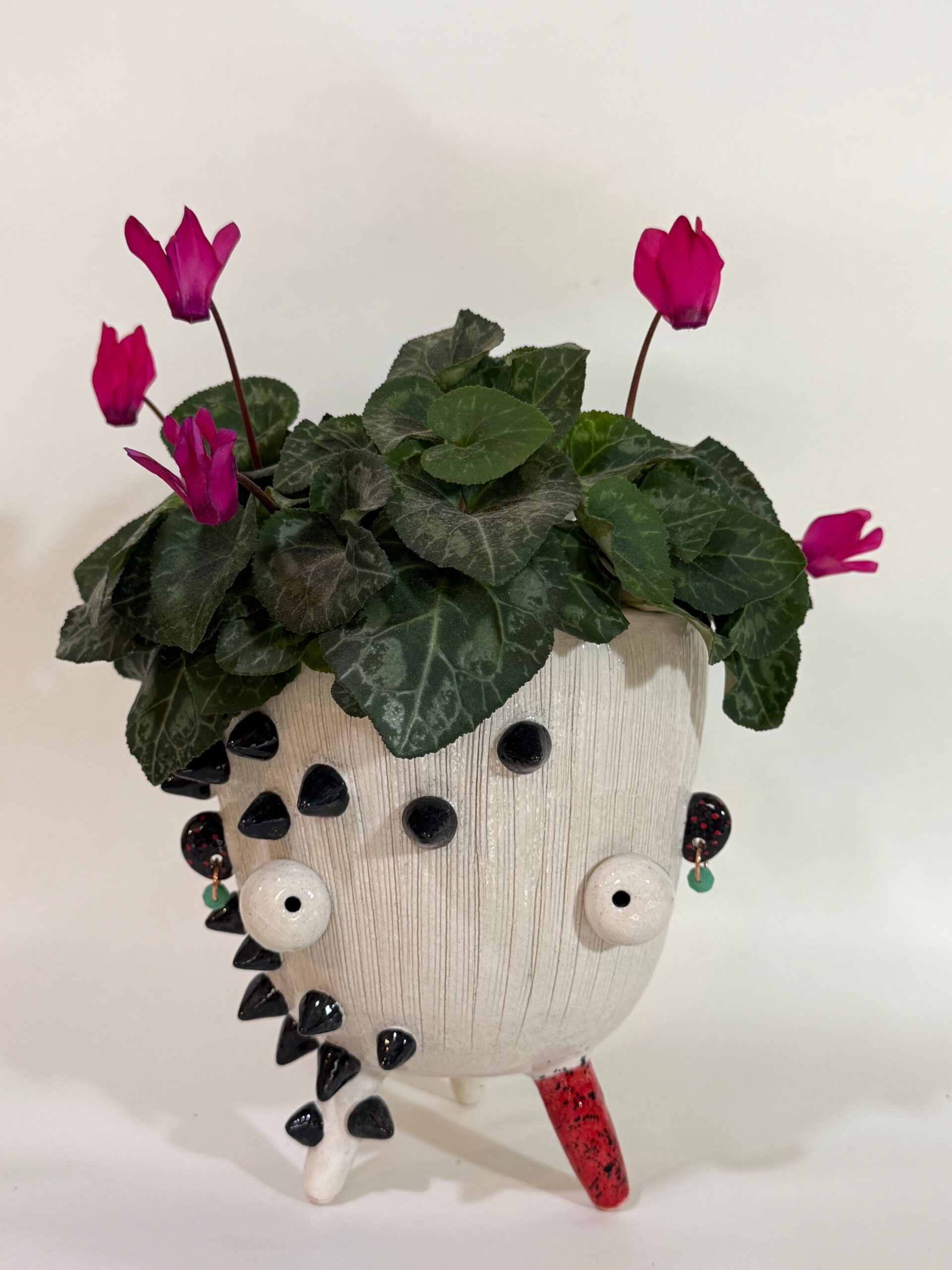 punk – Botánico Ático